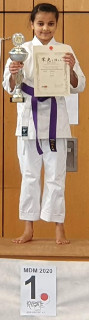 MDM-2020